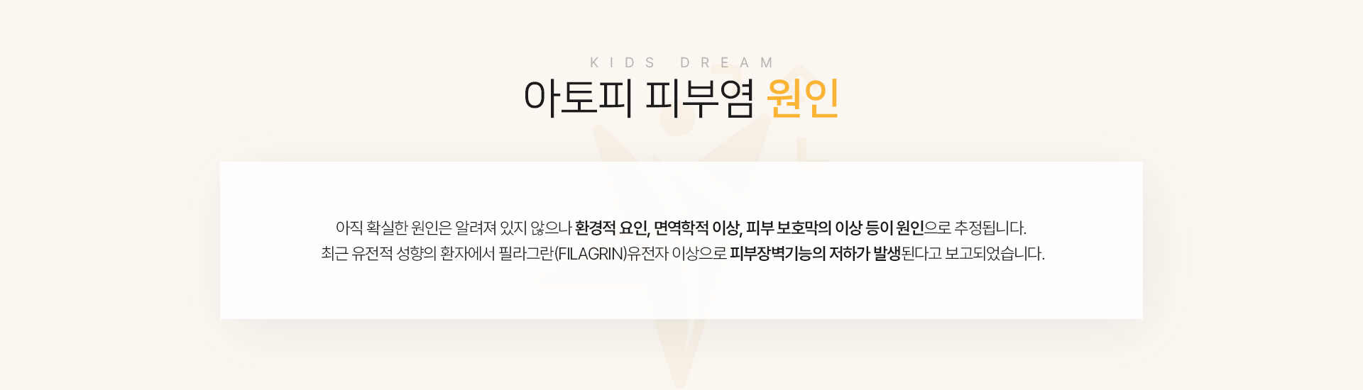 아토피 피부염 원인